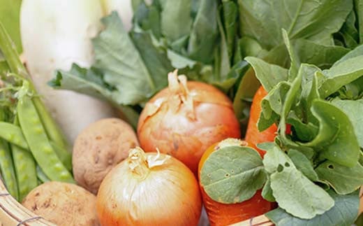 é¿éšèŸ²çžã®æ¡ãããŠéèã§BBQ!蟲æ¥äœéšãšéèãã£ã·ãããŒããã¥ãŒãã©ã³ 2åæ§ F7X-0085