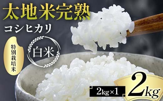 2024å¹Žç£ ç¹å¥æ œå¹ç±³ 倪å°ç±³å®ç ãããã²ããã çœç±³ 2kg ãã©ã³ãç±³ ãç±³ 粟米 çœç±³ äººæ° F7X-0311