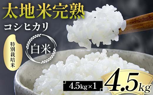 2026年産 特別栽培米 太地米完熟【こしひかり】 白米 4.5kg ブランド米 お米 精米 白米 人気 F7X-0662