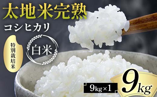 2026年産 特別栽培米 太地米完熟【こしひかり】 白米 9kg ブランド米 お米 精米 白米 人気 F7X-0663
