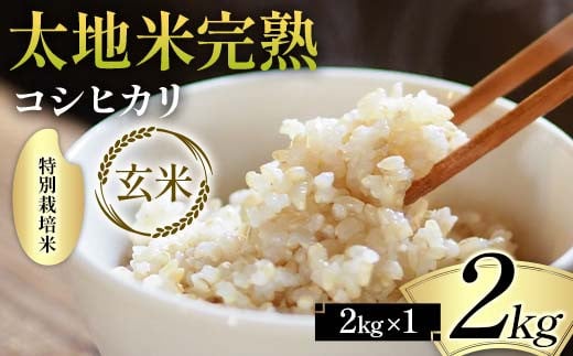 2026年産 特別栽培米 太地米完熟【こしひかり】 玄米 2kg ブランド米 お米 人気 F7X-0664