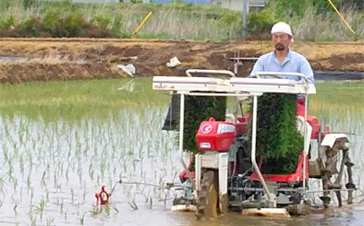 2026年産 特別栽培米 太地米完熟【こしひかり】 玄米 2kg ブランド米 お米 人気 F7X-0664