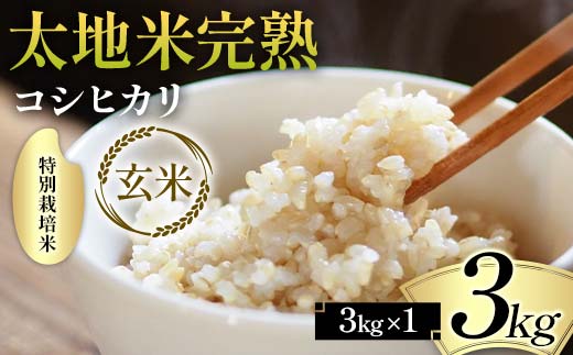 2026年産 特別栽培米 太地米完熟【こしひかり】 玄米 3kg ブランド米 お米 人気 F7X-0665