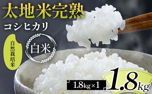2026年産 自然栽培米 太地米完熟【こしひかり】 白米 1.8kg ブランド米 お米 精米 白米 人気 F7X-0676