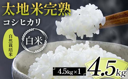 2026年産 自然栽培米 太地米完熟【こしひかり】 白米 4.5kg ブランド米 お米 精米 白米 人気 F7X-0678