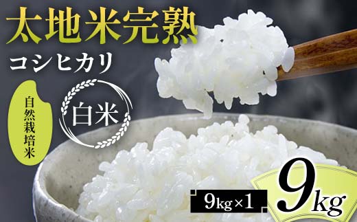2026年産 自然栽培米 太地米完熟【こしひかり】 白米 9kg ブランド米 お米 精米 白米 人気 F7X-0679