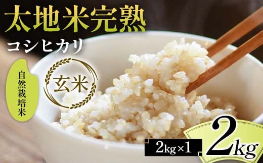 2026年産 自然栽培米 太地米完熟【こしひかり】 玄米 2kg ブランド米 お米 人気 F7X-0680