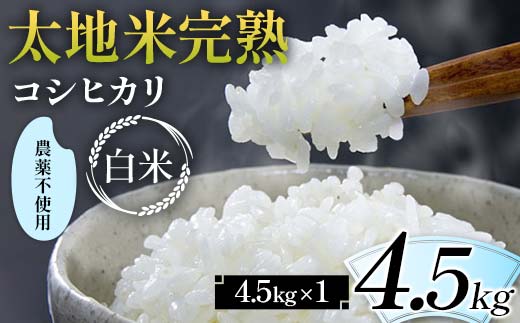 2026年産 農薬不使用 太地米完熟【こしひかり】 白米 4.5kg ブランド米 お米 精米 白米 人気 F7X-0670