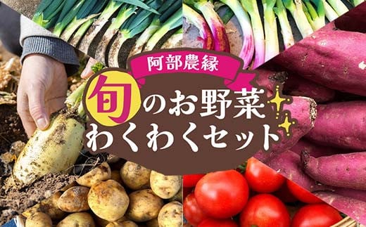 阿部農縁 旬のお野菜わくわくセット（約7～8種類＆加工品） F7X-0029