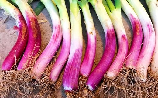 阿部農縁 旬のお野菜わくわくセット（約7～8種類＆加工品） F7X-0029