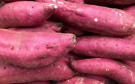 阿部農縁 旬のお野菜わくわくセット（約7～8種類＆加工品） F7X-0029