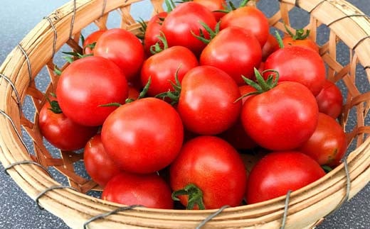 阿部農縁 旬のお野菜わくわくセット（約7～8種類＆加工品） F7X-0029