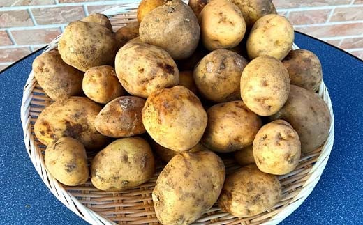 阿部農縁 旬のお野菜わくわくセット（約7～8種類＆加工品） F7X-0029