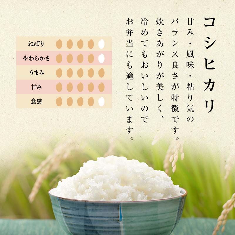 莉、蜥7蟷エ逕」邀ウ 鬆郁ウ蟾晏クよウ臥伐逕」 繧ウ繧キ繝偵き繝ェ辟。豢礼アウ20kg 繝悶Λ繝ウ繝臥アウ 縺顔アウ 辟。豢礼アウ 逋ス邀ウ 莠コ豌 F7X-0640