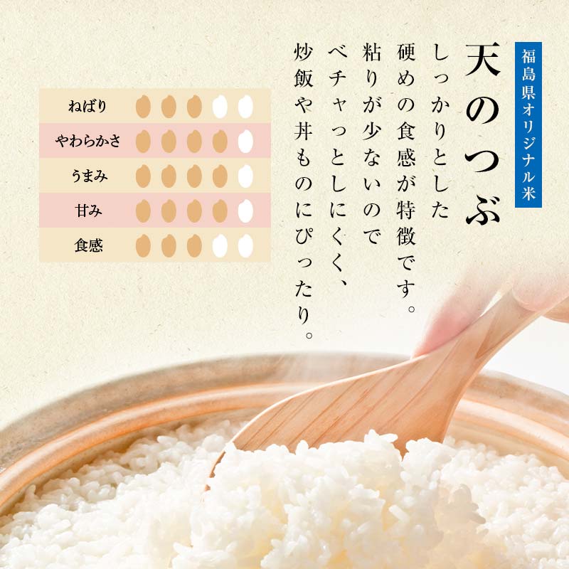 令和7年産米 須賀川市産 天のつぶ精米10kg ブランド米 お米 精米 白米 人気 F7X-0645