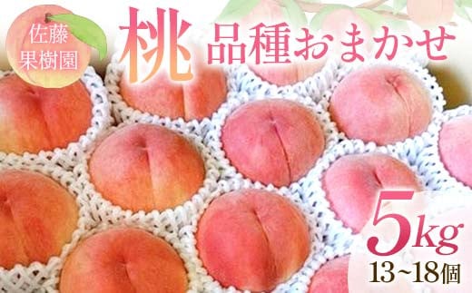 桃 品種おまかせ 5kg 13～18個 もも 贈答 プレゼント ＜佐藤果樹園＞ モモ 桃 デザート フルーツ 果物 F7X-0282
