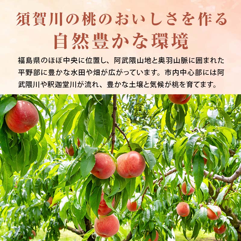 阿部農縁　福島の桃　まどか3kg(8～12玉)　ギフト・贈答用　ふくしまの完熟もも F7X-0045