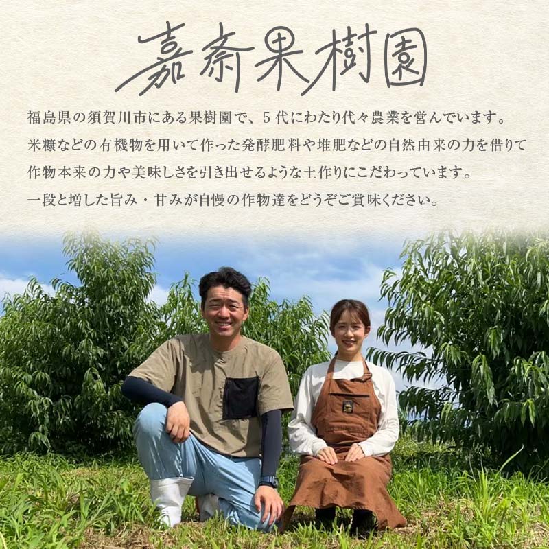 ＜先行受付＞ 嘉斎果樹園の桃「川中島白桃」約3kg（8～11個） もも モモ 桃 デザート フルーツ 果物 くだもの 果実 食品 F7X-0141