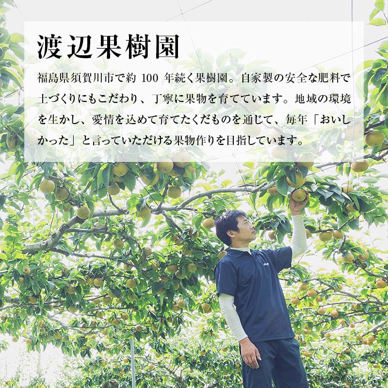 渡辺果樹園の幸水梨 約3kg＜8月中旬～9月上旬にお届け＞ F7X-0162