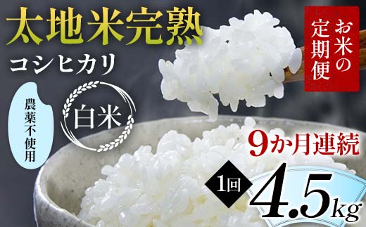 【先行予約】お米の定期便 農薬不使用米 太地米完熟 【こしひかり】 白米4.5kg×9か月連続 ブランド米 お米 精米 白米 人気 F7X-0734