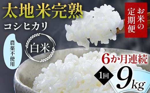 【先行予約】お米の定期便 農薬不使用米 太地米完熟 【こしひかり】 白米9kg×6か月連続 ブランド米 お米 精米 白米 人気 F7X-0741