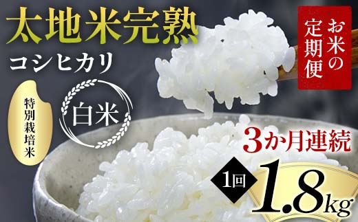 【先行予約】お米の定期便 特別栽培米 太地米完熟 【こしひかり】 白米1.8kg×3か月連続 ブランド米 お米 精米 白米 人気 F7X-0684