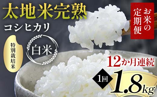【先行予約】お米の定期便 特別栽培米 太地米完熟 【こしひかり】 白米1.8kg×12か月連続 ブランド米 お米 精米 白米 人気 F7X-0687