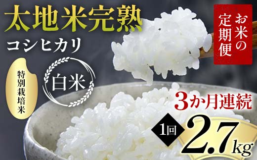 【先行予約】お米の定期便 特別栽培米 太地米完熟 【こしひかり】 白米2.7kg×3か月連続 ブランド米 お米 精米 白米 人気 F7X-0692
