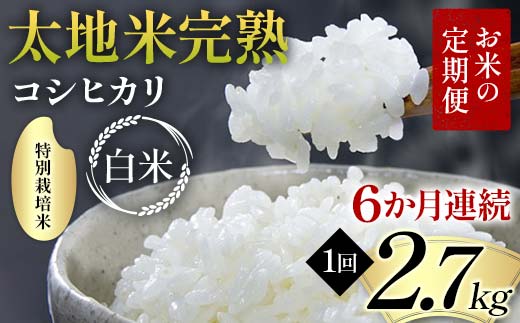 【先行予約】お米の定期便 特別栽培米 太地米完熟 【こしひかり】 白米2.7kg×6か月連続 ブランド米 お米 精米 白米 人気 F7X-0693