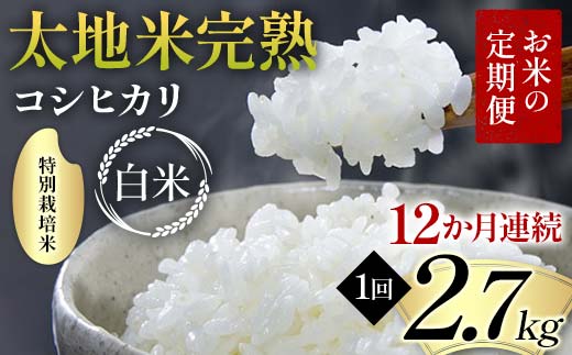 【先行予約】お米の定期便 特別栽培米 太地米完熟 【こしひかり】 白米2.7kg×12か月連続 ブランド米 お米 精米 白米 人気 F7X-0695