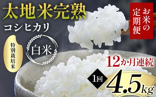 【先行予約】お米の定期便 特別栽培米 太地米完熟 【こしひかり】 白米4.5kg×12か月連続 ブランド米 お米 精米 白米 人気 F7X-0703