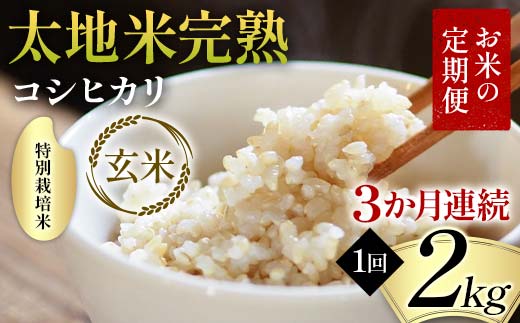 【先行予約】お米の定期便 特別栽培米 太地米完熟 【こしひかり】 玄米2kg×3か月連続 ブランド米 お米 人気 F7X-0688