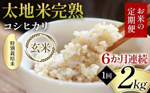 お米の定期便 特別栽培米 太地米完熟 【こしひかり】 玄米2kg×6か月連続 ブランド米 お米 人気 F7X-0369