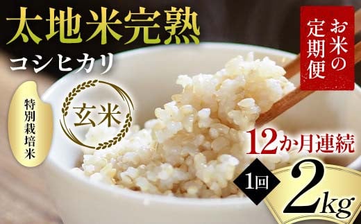 【先行予約】お米の定期便 特別栽培米 太地米完熟 【こしひかり】 玄米2kg×12か月連続 ブランド米 お米 人気 F7X-0691