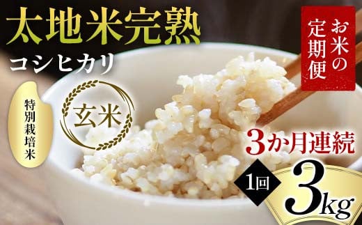 お米の定期便 特別栽培米 太地米完熟 【こしひかり】 玄米3kg×3か月連続 ブランド米 お米 人気 F7X-0376