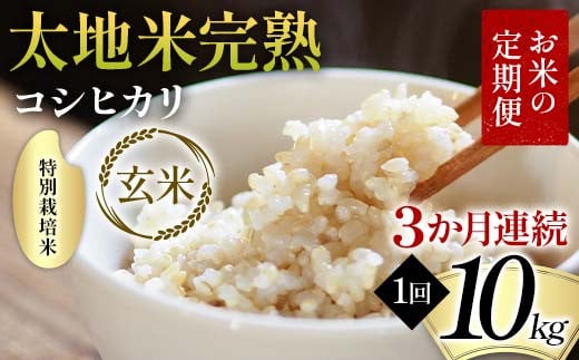 【先行予約】お米の定期便 特別栽培米 太地米完熟 【こしひかり】 玄米10kg×3か月連続 ブランド米 お米 人気 F7X-0712