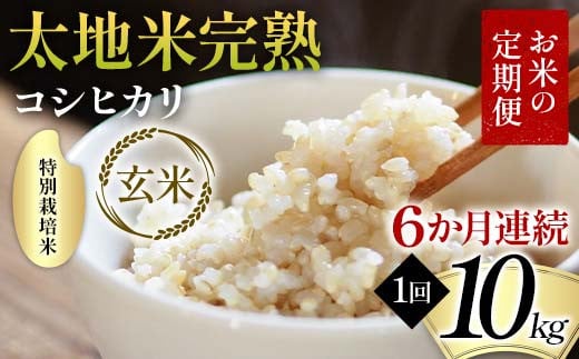 お米の定期便 特別栽培米 太地米完熟 【こしひかり】 玄米10kg×6か月連続 ブランド米 お米 人気 F7X-0393