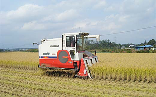 お米の定期便 特別栽培米 太地米完熟 【こしひかり】 玄米10kg×6か月連続 ブランド米 お米 人気 F7X-0393