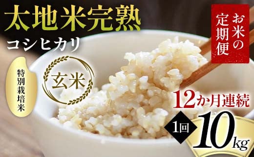 【先行予約】お米の定期便 特別栽培米 太地米完熟 【こしひかり】 玄米10kg×12か月連続 ブランド米 お米 人気 F7X-0715