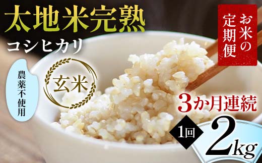 【先行予約】お米の定期便 農薬不使用米 太地米完熟 【こしひかり】 玄米2kg×3か月連続 ブランド米 お米 人気 F7X-0720