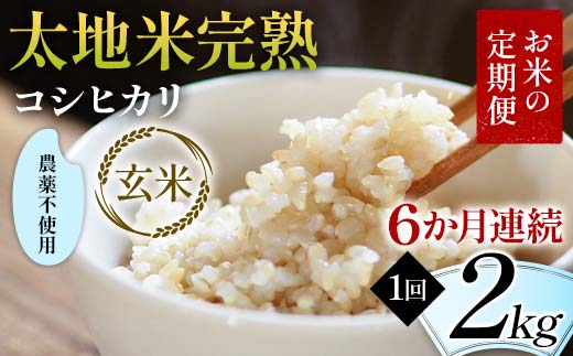 【先行予約】お米の定期便 農薬不使用米 太地米完熟 【こしひかり】 玄米2kg×6か月連続 ブランド米 お米 人気 F7X-0721