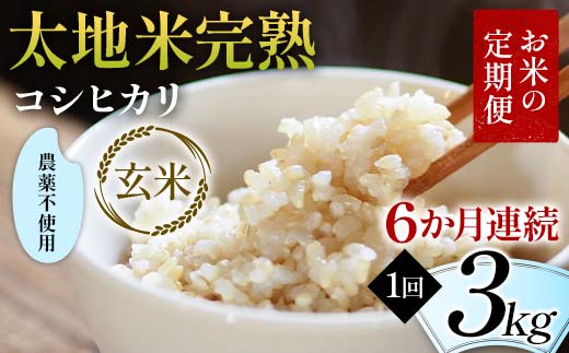 お米の定期便 農薬不使用米 太地米完熟 【こしひかり】 玄米3kg×6か月連続 ブランド米 お米 人気 F7X-0409