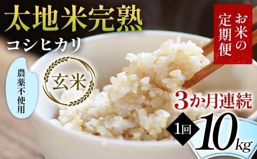 【先行予約】お米の定期便 農薬不使用米 太地米完熟 【こしひかり】 玄米10kg×3か月連続 ブランド米 お米 人気 F7X-0744
