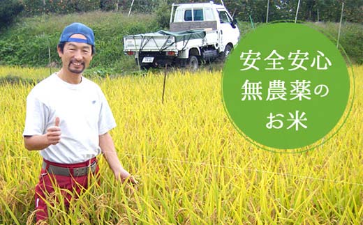 【先行予約】お米の定期便 農薬不使用米 太地米完熟 【こしひかり】 玄米10kg×6か月連続 ブランド米 お米 人気 F7X-0745