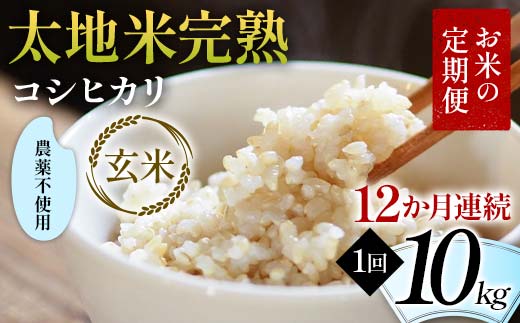 【先行予約】お米の定期便 農薬不使用米 太地米完熟 【こしひかり】 玄米10kg×12か月連続 ブランド米 お米 人気 F7X-0747