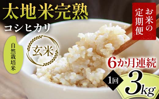 【先行予約】お米の定期便 自然栽培米 太地米完熟 【こしひかり】 玄米3kg×6か月連続 ブランド米 お米 人気 F7X-0761