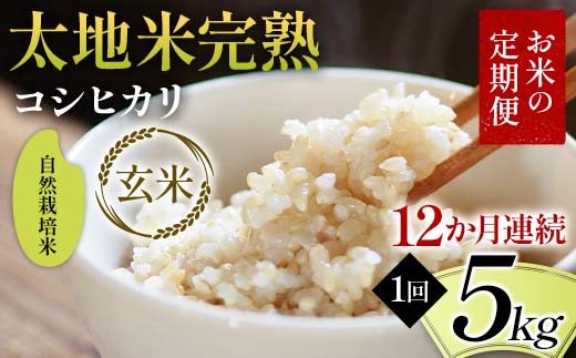 【先行予約】お米の定期便 自然栽培米 太地米完熟 【こしひかり】 玄米5kg×12か月連続 ブランド米 お米 人気 F7X-0771