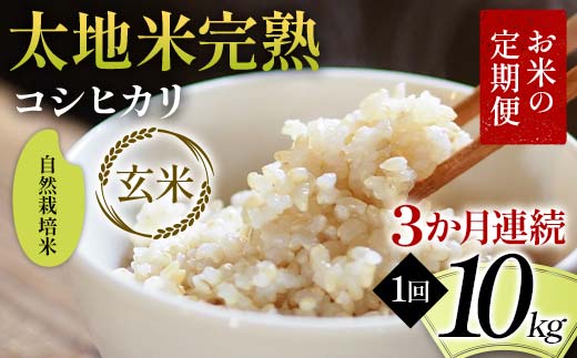 【先行予約】お米の定期便 自然栽培米 太地米完熟 【こしひかり】 玄米10kg×3か月連続 ブランド米 お米 人気 F7X-0776