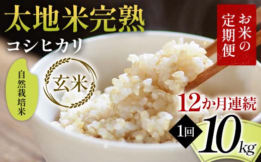 【先行予約】お米の定期便 自然栽培米 太地米完熟 【こしひかり】 玄米10kg×12か月連続 ブランド米 お米 人気 F7X-0779