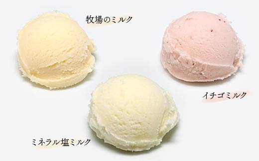 自然栽培農家のジェラート 12個セット ジェラート デザート スイーツ 菓子 食品 F7X-0363